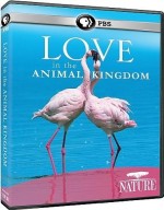 الوثائقي المميز : الحب في المملكة الحيوانية - Love in the Animal Kingdom 