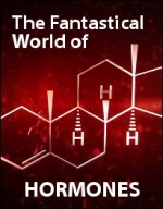 الفيلم الوثائقي : عالم الهرمونات الساحر- The Fantastical World of Hormones