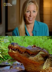 الفيلم الوثائقي هجوم التمساح كاملا