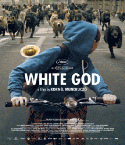 فيلم White God 2014 مترجم