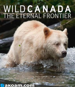 السلسلة الوثائقية كندا البرية Wild Canada مترجم