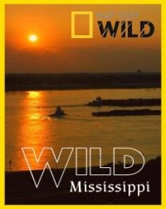السلسلة الوثائقية براري المسيسيبي Wild Mississippi