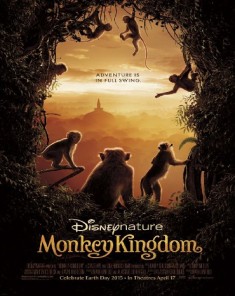 فيلم Monkey Kingdom 2015 مترجم