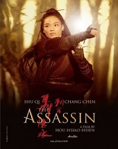 فيلم The Assassin 2015 مترجم