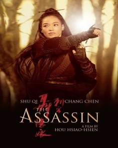 فيلم The Assassin 2015 مترجم	