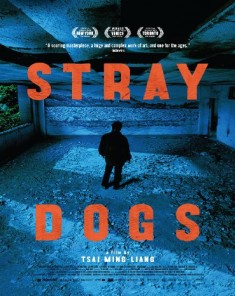 فيلم Stray Dogs 2014 مترجم