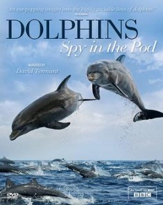 السلسلة الوثائقية الدلافين Dolphins Spy in the Pod مدبلج