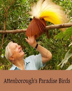 الفيلم الوثائقي طيور الجنة Attenboroughs Paradise Birds مترجم
