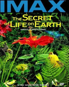 الفيلم الوثائقي سر الحياة على الأرض The Secret Of Life On Earth مترجم
