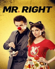 فيلم Mr. Right 2015 مترجم 