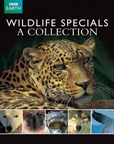 السلسلة الوثائقية خواصّ الحياة البريّة Wildlife Specials الجزء الأول