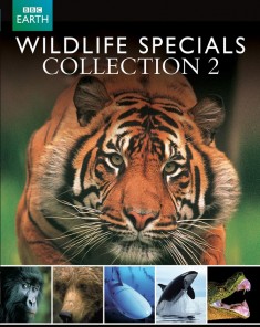 السلسلة الوثائقية خواصّ الحياة البريّة Wildlife Specials الجزء الثاني