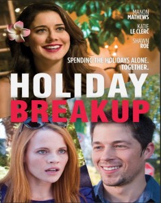 فيلم Holiday Breakup 2016 مترجم