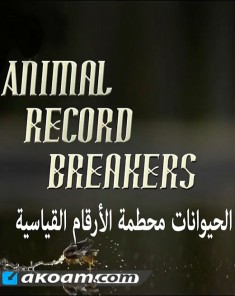 الفيلم الوثائقي الحيوانات محطمة الأرقام القياسية مدبلج