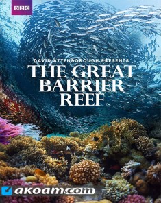 السلسلة الوثائقية Great Barrier Reef 2015 مترجمة