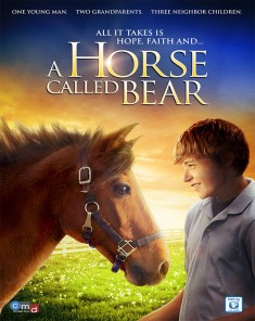 فيلم A Horse Called Bear 2015 مترجم
