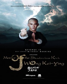 فيلم Master Of The Shadowless Kick: Wong Kei-Ying 2016 مترجم 