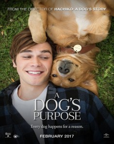 فيلم A Dog's Purpose 2017 مترجم 