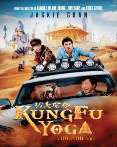 فيلم Kung-Fu Yoga 2017 مترجم