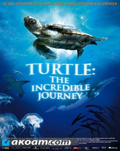 الفيلم الوثائقي السلحفاة الرحلة المذهلة Turtle: The Incredible Journey مترجم HD