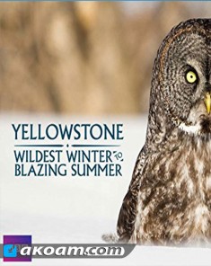 السلسلة الوثائقية Yellowstone: Wildest Winter to Blazing Summer مترجم HD