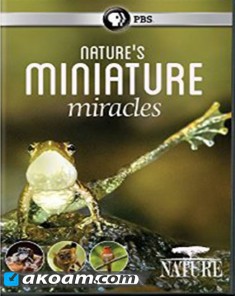 الفيلم الوثائقي Natures Miniature Miracles مترجم HD