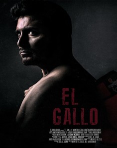 فيلم El Gallo 2018 مترجم 