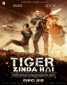 فيلم Tiger Zinda Hai 2017 مترجم