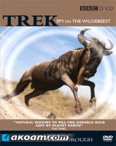 السلسلة الوثائقية التجسس على الثياتل Trek: Spy On The Wildebeest مترجم HD