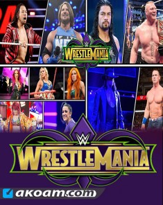 مواجهات مهرجان راسلمينيا WWE WrestleMania 34 منفصلة
