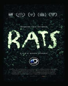 الفيلم الوثائقي الفئران RATS مترجم HD