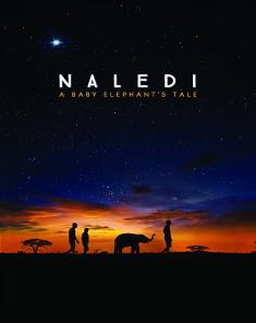 الفيلم الوثائقي ناليدي: قصة فيل صغير Naledi: Ein Elefantenleben مترجم HD