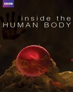 السلسلة الوثائقية داخل الجسم البشرى Inside the Human Body مترجم HD