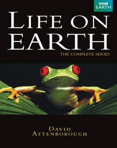 السلسلة الوثائقية الحياة على الأرض Life On Earth مترجم HD