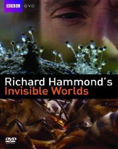 السلسلة الوثائقية عوالم خفيه Invisible Worlds مترجم HD