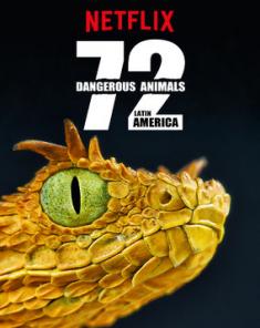 السلسلة الوثائقية 72Dangerous Animals: Latin America مترجم