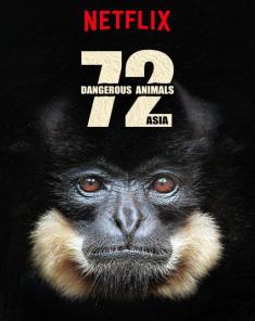 السلسلة الوثائقية اخطر 72 حيوان فى اسيا 72Dangerous Animals Asia مترجم HD