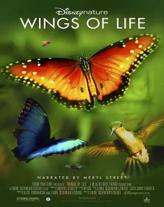 الفيلم الوثائقي الجمال الخفي Wings of Life مترجم 