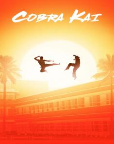 مسلسل Cobra Kai الموسم الاول مترجم