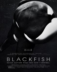 الفيلم الوثائقي الحوت الأسود Blackfish 2013 مترجم