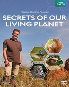 السلسلة الوثائقية أسرار كوكبنا النابض Secrets of our Living Planet مترجم