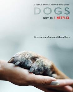 السلسلة الوثائقية الكلاب DOGS الموسم الاول