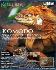 الفيلم الوثائقي كومودو أسرار التنين Komodo Secrets of the Dragon 2011 مترجم