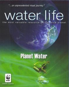 السلسلة الوثائقية الحياة المائية Water Life الموسم الاول مترجم