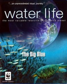 السلسلة الوثائقية الحياة المائية Water Life الموسم الثاني مترجم