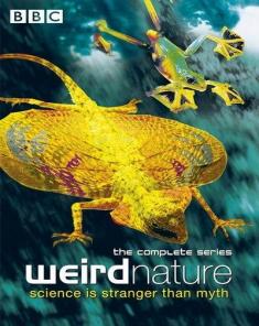 السلسلة الوثائقية غرائب الطبيعة Weird Nature مترجم HD