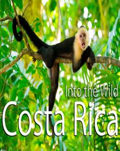 الفيلم الوثائقي Wild Costa Rica مترجم HD