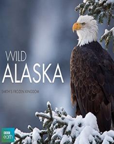 السلسلة الوثائقية الحياة البرية في ألاسكا Wild Alaska مترجم