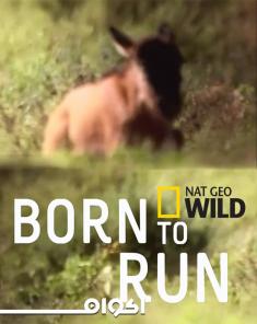 الفيلم الوثائقي مخلوق للهرب Born to Run مترجم