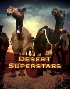 الفيلم الوثائقي Desert Superstars 2011 